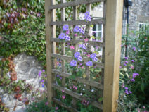 Copyright image: A pergola arch and trellis with lovely purple clematis and cottage garden flowers.