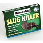 Nematodes slug killer.