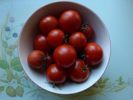 Plants-Tomatoes in dish